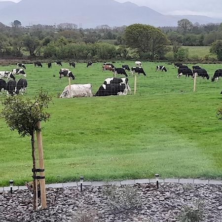 Inch View Lodge Milltown  Esterno foto